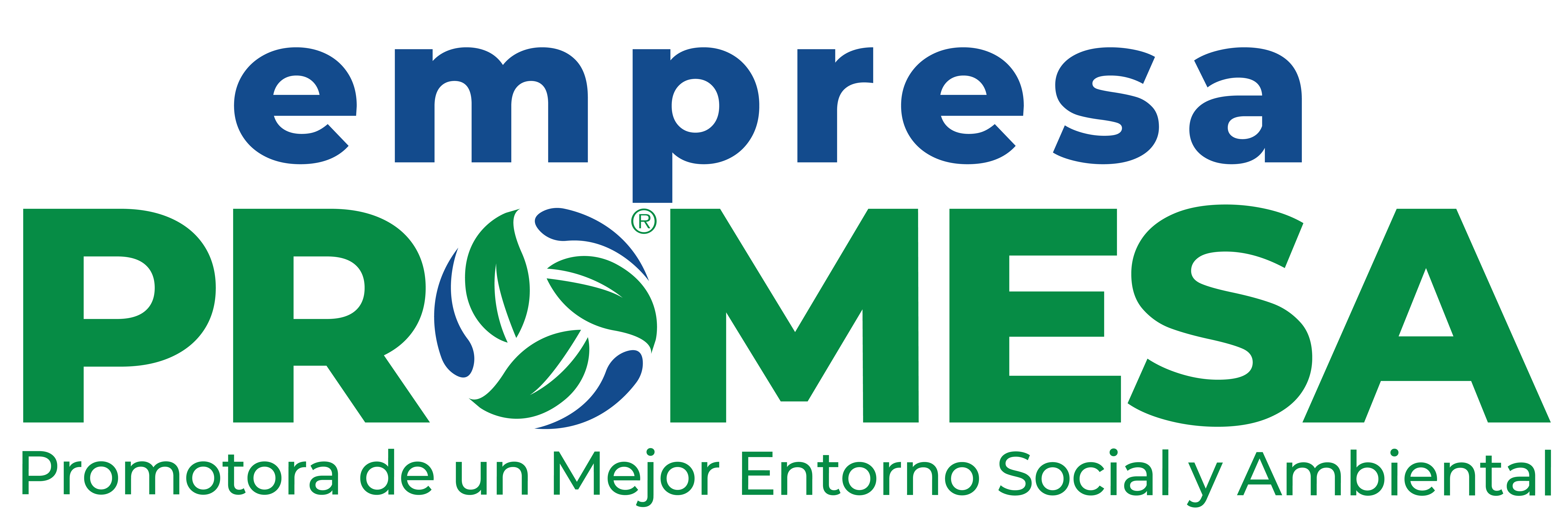 Home - Grupo PROMESA