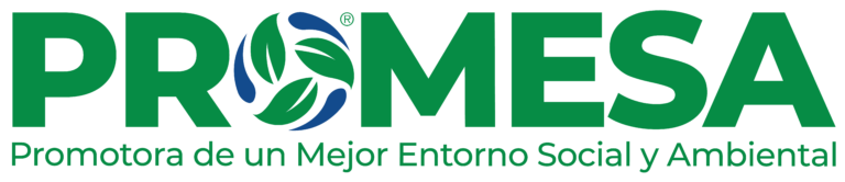 Logo Promesa