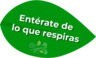 Infografía 1