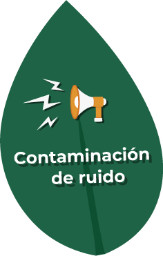 Infografía 4