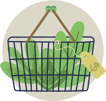 Cesta de consumo consciente